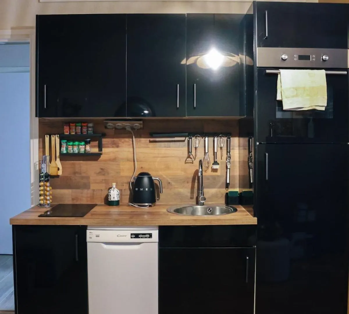 Modern Apartment With Balcony And Ac Walk To Tramway Near Center Nice